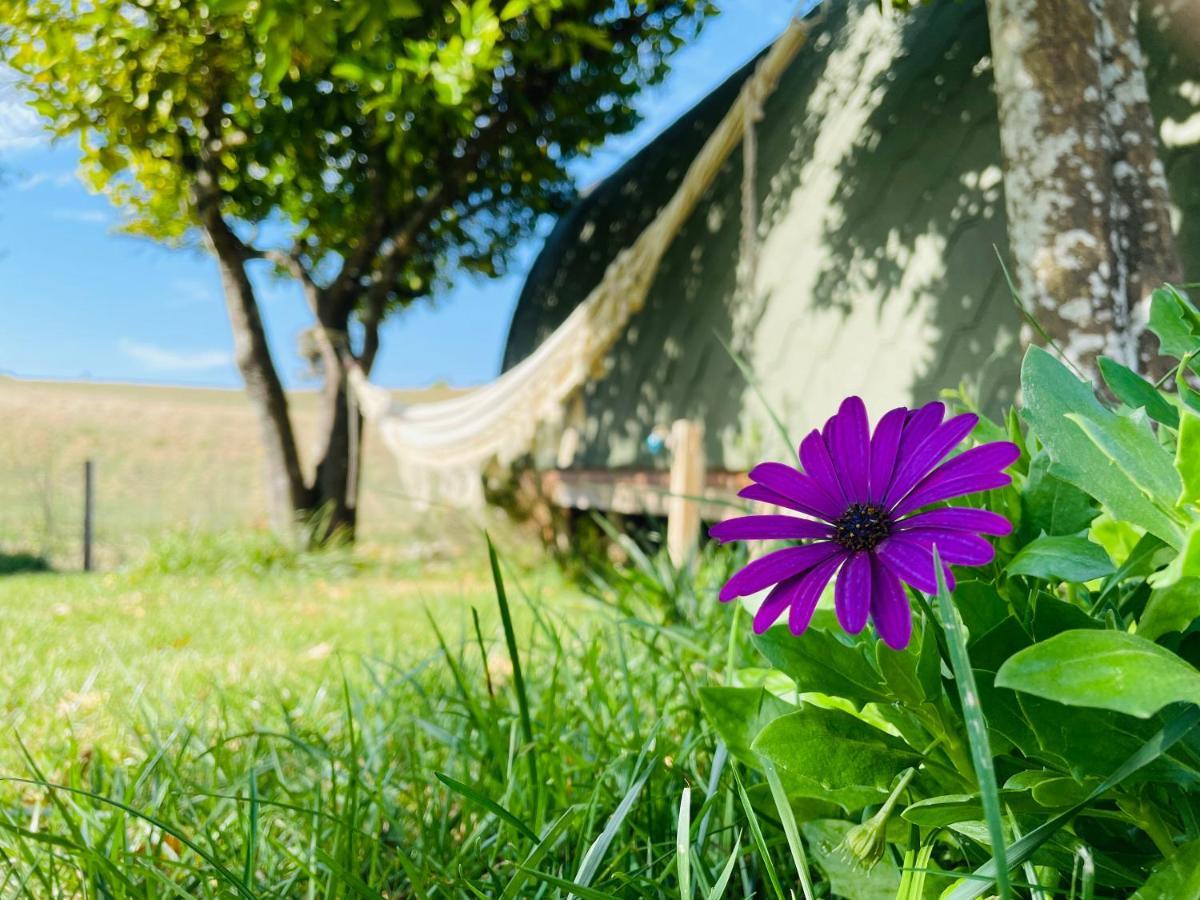 Glamping Turquesa, Feel And Relax In A Wood House Guest House Corredoura Exterior photo